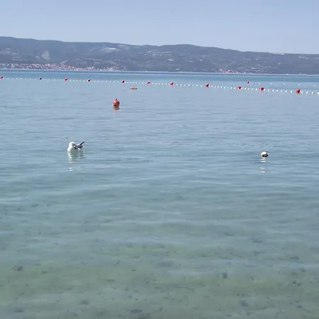 Ticinovic أوميس